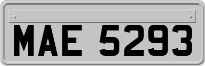 MAE5293
