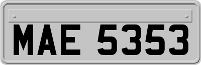 MAE5353