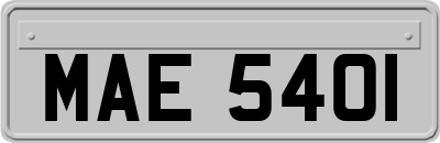 MAE5401