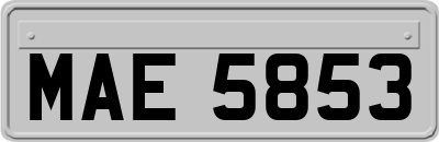 MAE5853