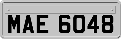MAE6048