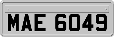 MAE6049