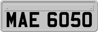 MAE6050