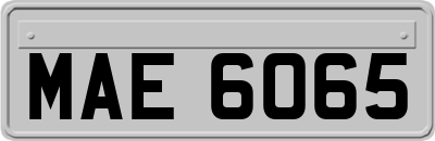 MAE6065