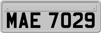 MAE7029