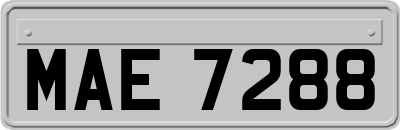 MAE7288