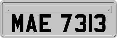 MAE7313