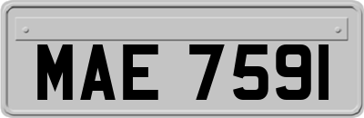 MAE7591
