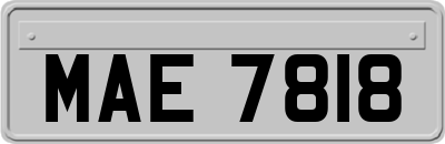 MAE7818
