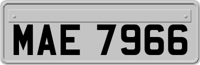 MAE7966