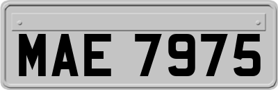 MAE7975