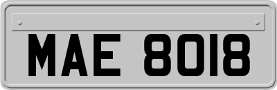MAE8018
