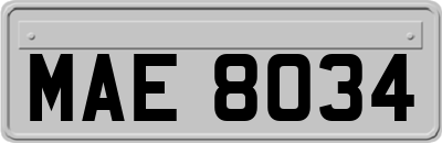 MAE8034