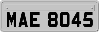 MAE8045