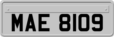 MAE8109