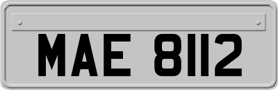 MAE8112