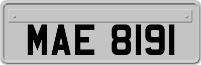 MAE8191