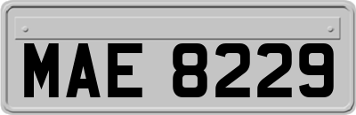 MAE8229
