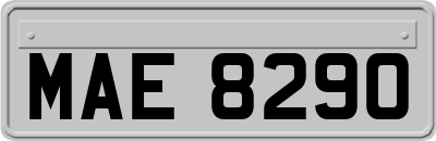 MAE8290