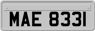 MAE8331