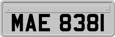 MAE8381