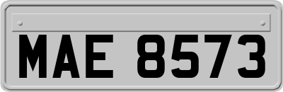 MAE8573