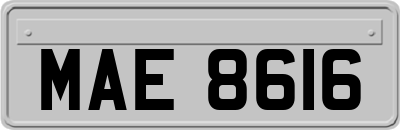 MAE8616