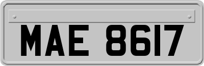 MAE8617