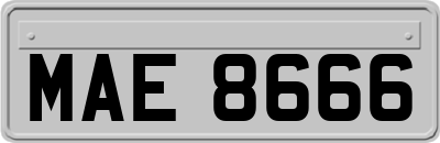 MAE8666