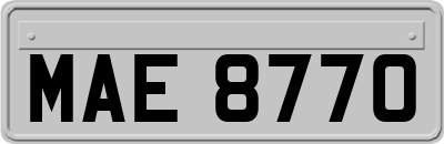 MAE8770