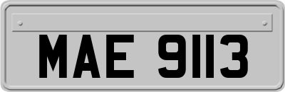 MAE9113
