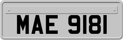 MAE9181