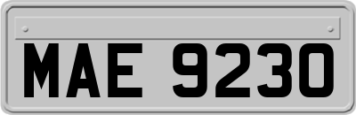 MAE9230