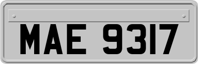 MAE9317