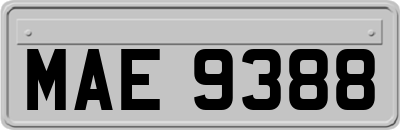 MAE9388