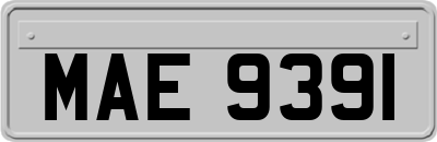 MAE9391
