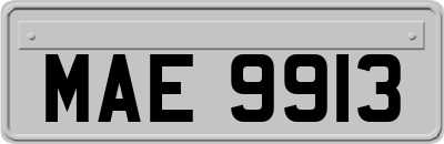 MAE9913