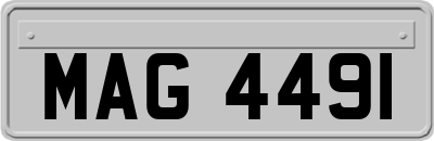 MAG4491