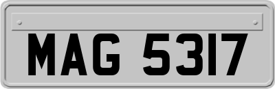 MAG5317