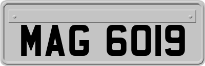 MAG6019