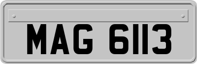 MAG6113