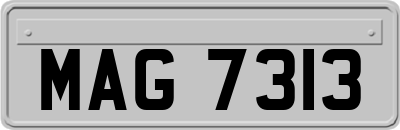 MAG7313
