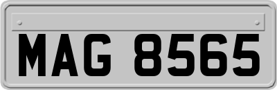 MAG8565