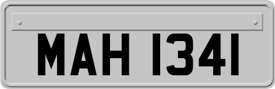MAH1341