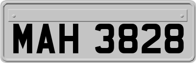 MAH3828