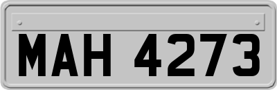 MAH4273