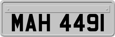 MAH4491