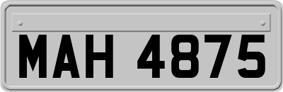 MAH4875