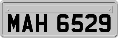 MAH6529