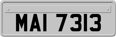 MAI7313